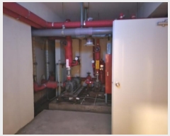  2024Ÿ3734 泲 뿵  ׸ 1574-61      ٸü,󰡰