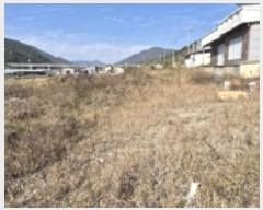  2024Ÿ��5150 �泲 ������ ȸȭ�� ��и� 869      ����(����)���