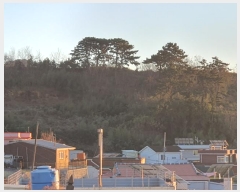  2024Ÿ5235 泲   âȣ 798-6      (Ӿ)