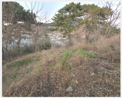  2024Ÿ5235 泲   âȣ 798-6      (Ӿ)