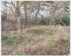  2024Ÿ5235 泲   âȣ 798-6      (Ӿ)