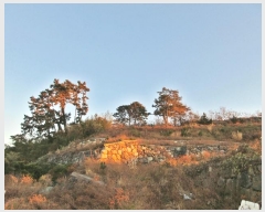  2024Ÿ5235 泲   âȣ 798-6      (Ӿ)