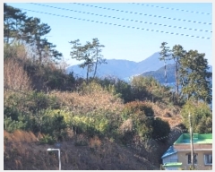  2024Ÿ5235 泲   âȣ 798-6      (Ӿ)