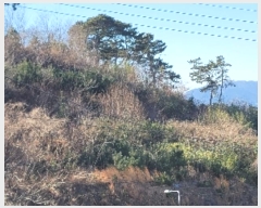  2024Ÿ5235 泲   âȣ 798-6      (Ӿ)