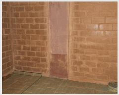  2024Ÿ��29408  �ٸ����ð��