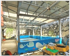  2024Ÿ��29408  �ٸ����ð��