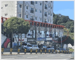  2024Ÿ29729 泲 뿵  25, 1106ȣ      ,繫ǰ