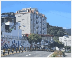  2024Ÿ29729 泲 뿵  25, 1106ȣ      ,繫ǰ