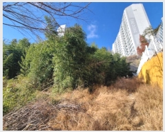  2024Ÿ��32176 �泲 ������ ���� �� 663-1      ����(��)���