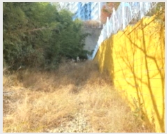  2024Ÿ��32176 �泲 ������ ���� �� 663-1      ����(��)���