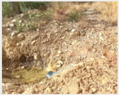  2024Ÿ��32176 �泲 ������ ���� �� 663-1      ����(��)���