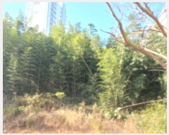  2024Ÿ��32176 �泲 ������ ���� �� 663-1      ����(��)���