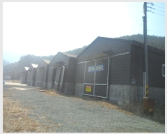  2024Ÿ��63 �泲 �뿵�� ����� ���۸� 1250-3      �������