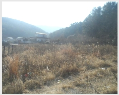  2024Ÿ��63 �泲 �뿵�� ����� ���۸� 1250-3      �������