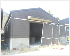  2024Ÿ��63 �泲 �뿵�� ����� ���۸� 1250-3      �������