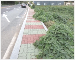  2024Ÿ3987 泲 뿵 볲  348-7      (1)