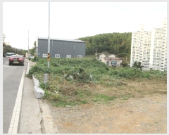  2024Ÿ3987 泲 뿵 볲  651-1      ,â