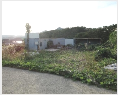  2024Ÿ3987 泲 뿵 볲  651-1      ,â