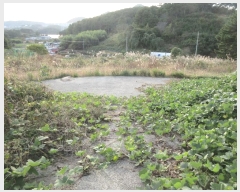  2024Ÿ3987 泲 뿵 볲  651-1      ,â