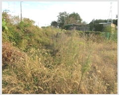  2024Ÿ3987 泲 뿵 볲  651-1      ,â