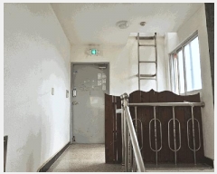  2024Ÿ4065 泲  ַ1 19, 5501ȣ (ֵ,޸տǽ)     ǽڰ