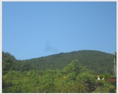  2024Ÿ4485 泲  д Ÿ 93      (Ӿ)