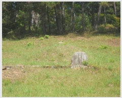  2024Ÿ4485 泲  д Ÿ 93      (Ӿ)