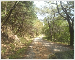  2024Ÿ4485 泲  д Ÿ 93      (Ӿ)