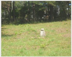  2024Ÿ4485 泲  д Ÿ 93      (Ӿ)