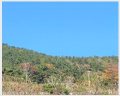  2024Ÿ4485 泲  д Ÿ 93      (Ӿ)