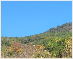  2024Ÿ4485 泲  д Ÿ 93      (Ӿ)