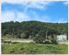  2024Ÿ4560 泲   64-12       (Ӿ)