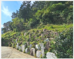  2024Ÿ4560 泲   64-12       (Ӿ)