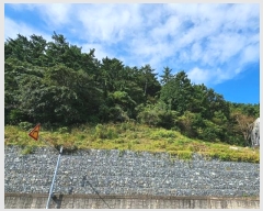  2024Ÿ4560 泲   64-12       (Ӿ)