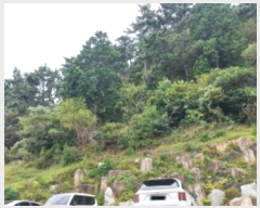  2024Ÿ4560 泲   64-12       (Ӿ)