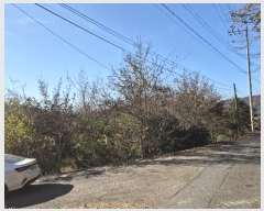  2024Ÿ��5402  ����