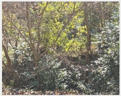  2024Ÿ��5402  ����