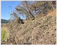  2024Ÿ��5402  ����