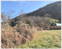  2024Ÿ��5402  ����