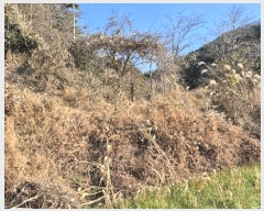  2024Ÿ��5402  ����