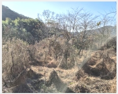  2024Ÿ��5402  ����