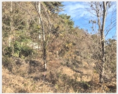  2024Ÿ��5402  ����