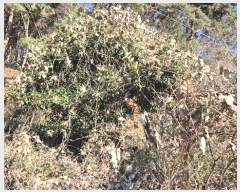  2024Ÿ��5402  ����