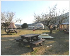  2024Ÿ��22025 �泲 ������ ������ ���긮 346-3      �����Ұ��