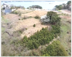  2024Ÿ��22100 �泲 �뿵�� �볲�� ȭ�︮ 44      ����(��1)���