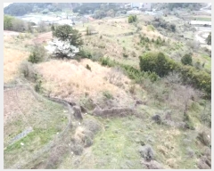  2024Ÿ��22100 �泲 �뿵�� �볲�� ȭ�︮ 44      ����(��1)���