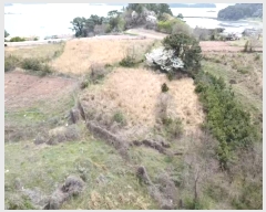  2024Ÿ��22100 �泲 �뿵�� �볲�� ȭ�︮ 44      ����(��1)���