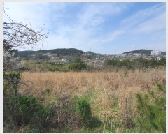  2024Ÿ��22100 �泲 �뿵�� �볲�� ȭ�︮ 44      ����(��1)���