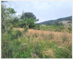  2024Ÿ��22100 �泲 �뿵�� �볲�� ȭ�︮ 44      ����(��1)���