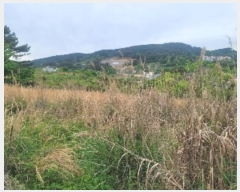  2024Ÿ��22100 �泲 �뿵�� �볲�� ȭ�︮ 44      ����(��1)���